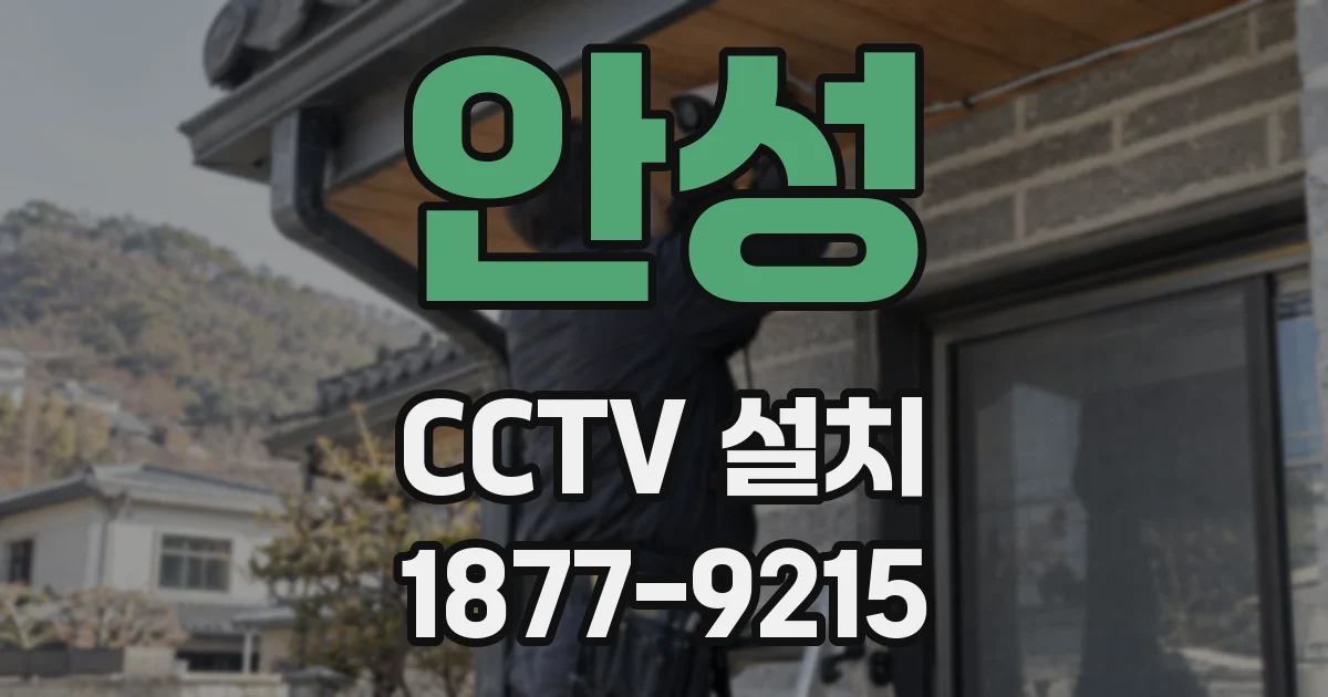 안성 CCTV 설치