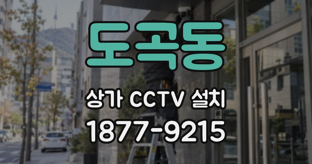 도곡동 상가 CCTV 설치