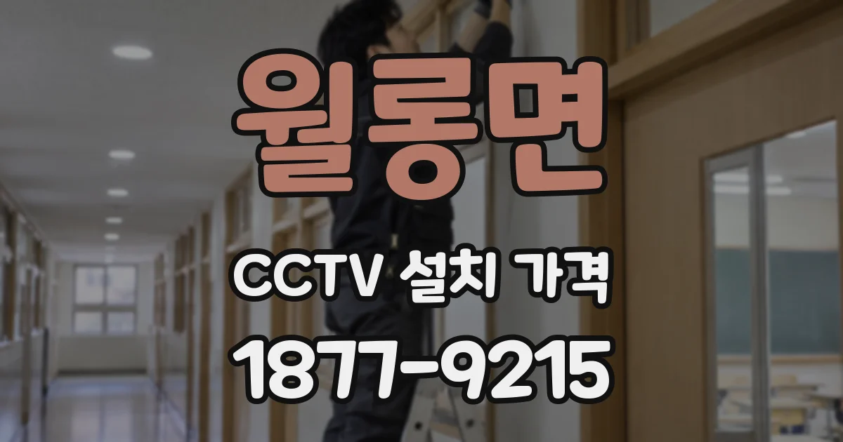 월롱면 CCTV 설치 가격