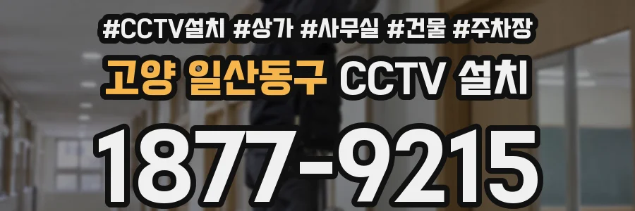 고양 일산동구 CCTV 설치