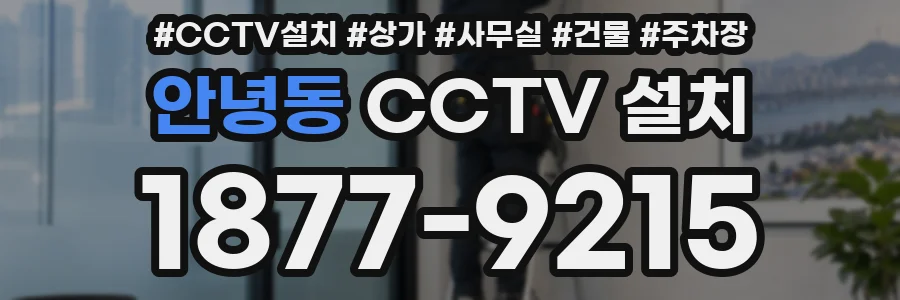 안녕동 CCTV 설치