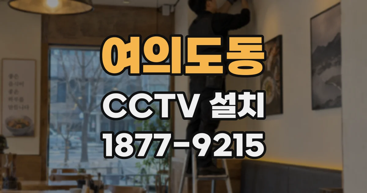 여의도동 CCTV 설치