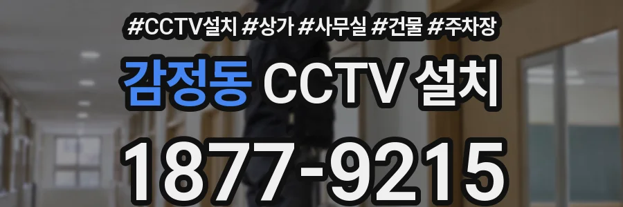 감정동 CCTV 설치
