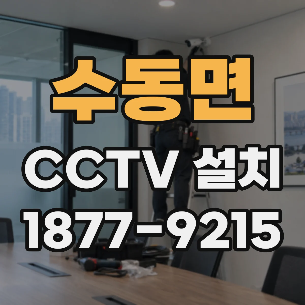 수동면 CCTV 설치