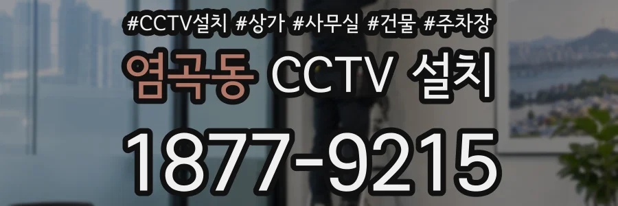 염곡동 CCTV 설치