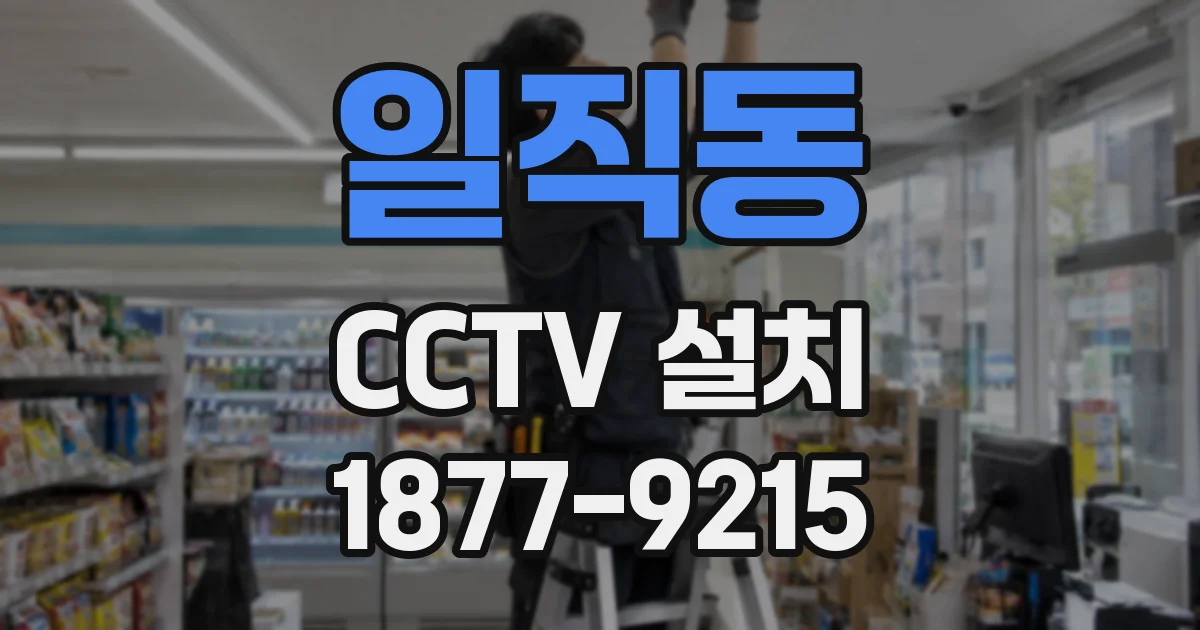 일직동 CCTV 설치