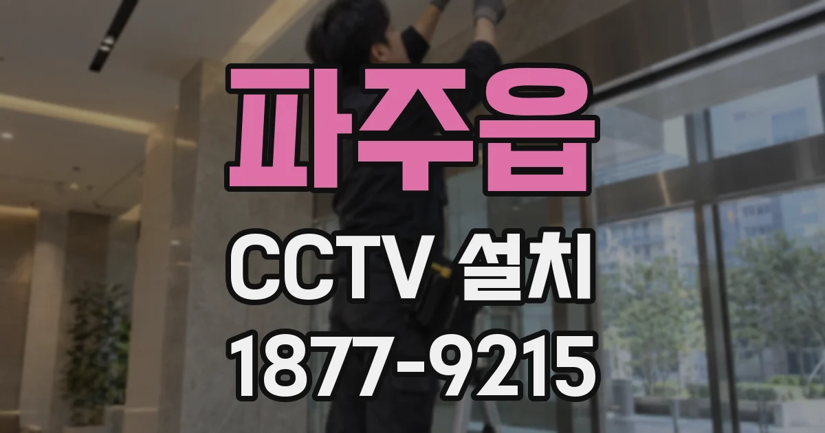 파주읍 CCTV 설치