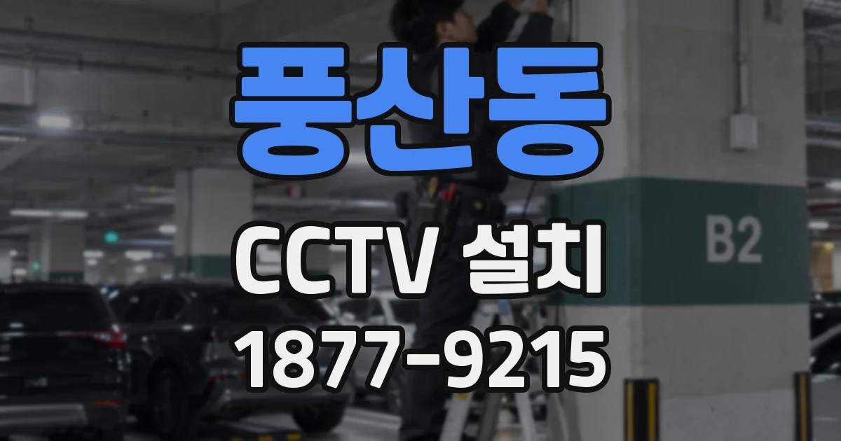 풍산동 CCTV 설치