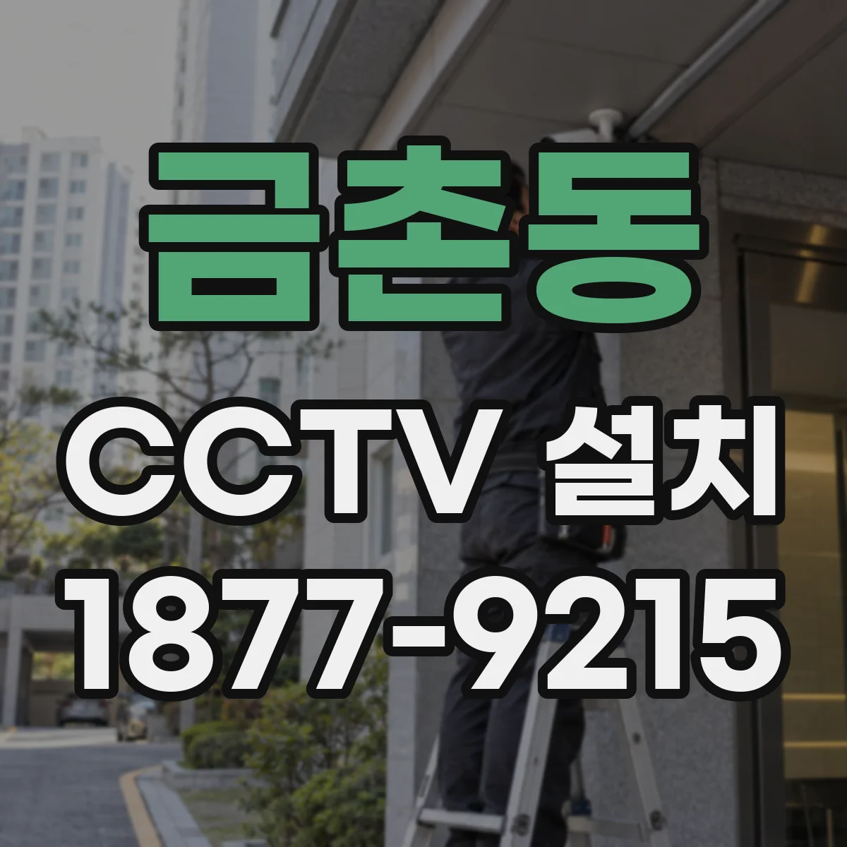 금촌동 CCTV 설치