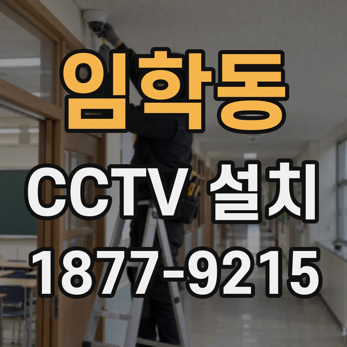 임학동 CCTV 설치