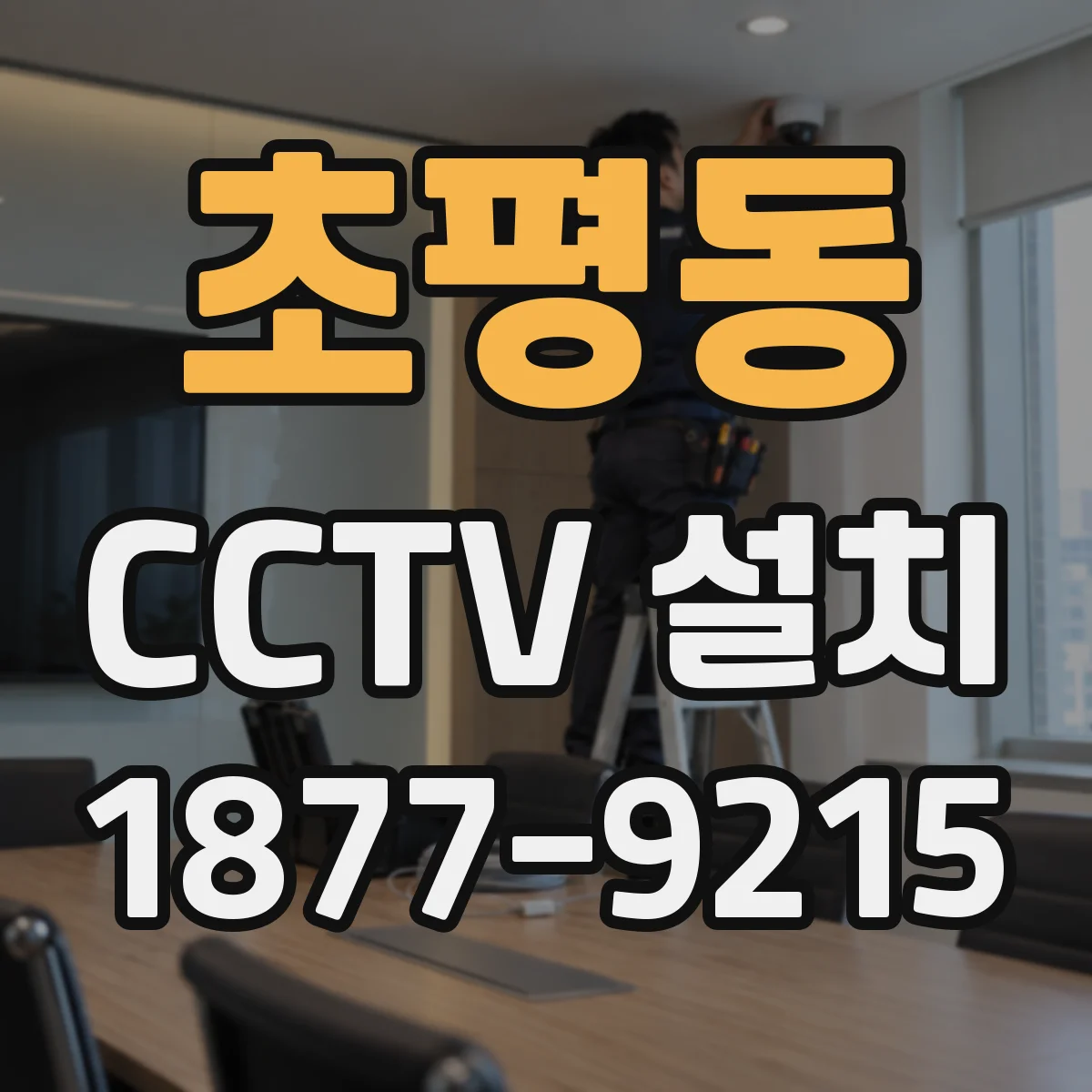 초평동 CCTV 설치