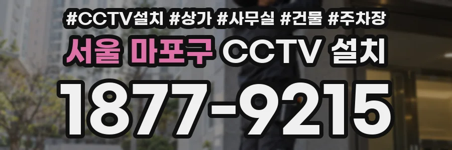 서울 마포구 CCTV 설치