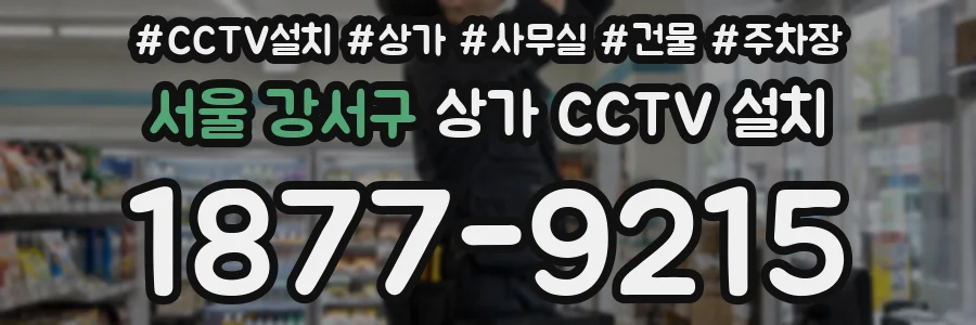 서울 강서구 상가 CCTV 설치