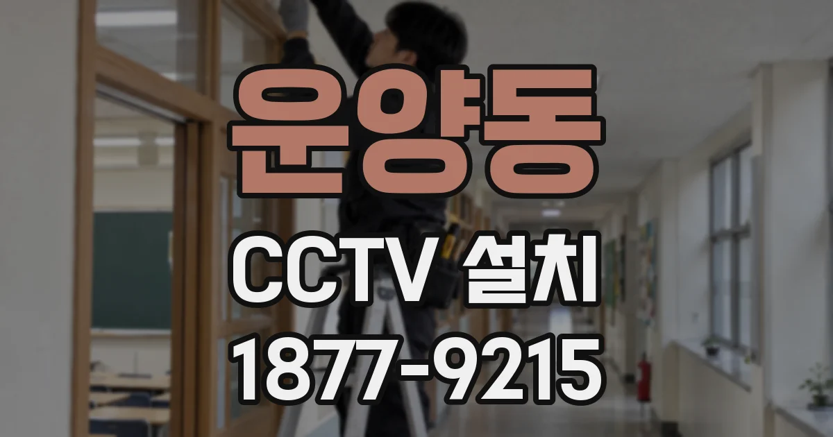 운양동 CCTV 설치