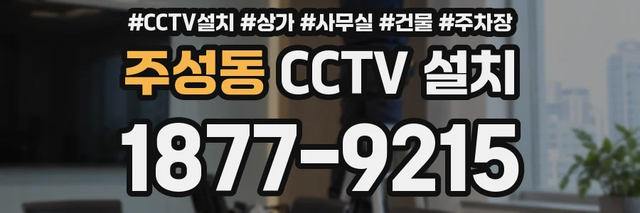 주성동 CCTV 설치