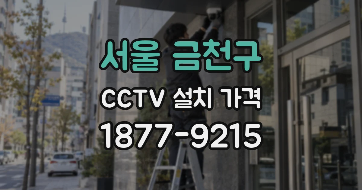 서울 금천구 CCTV 설치 가격