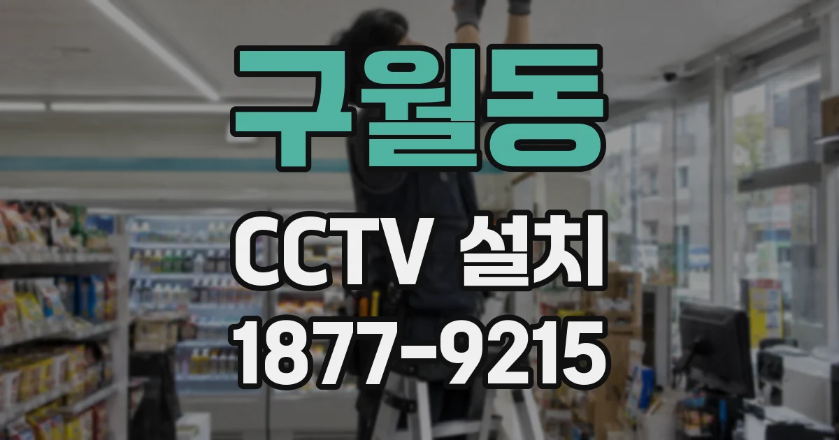 구월동 CCTV 설치
