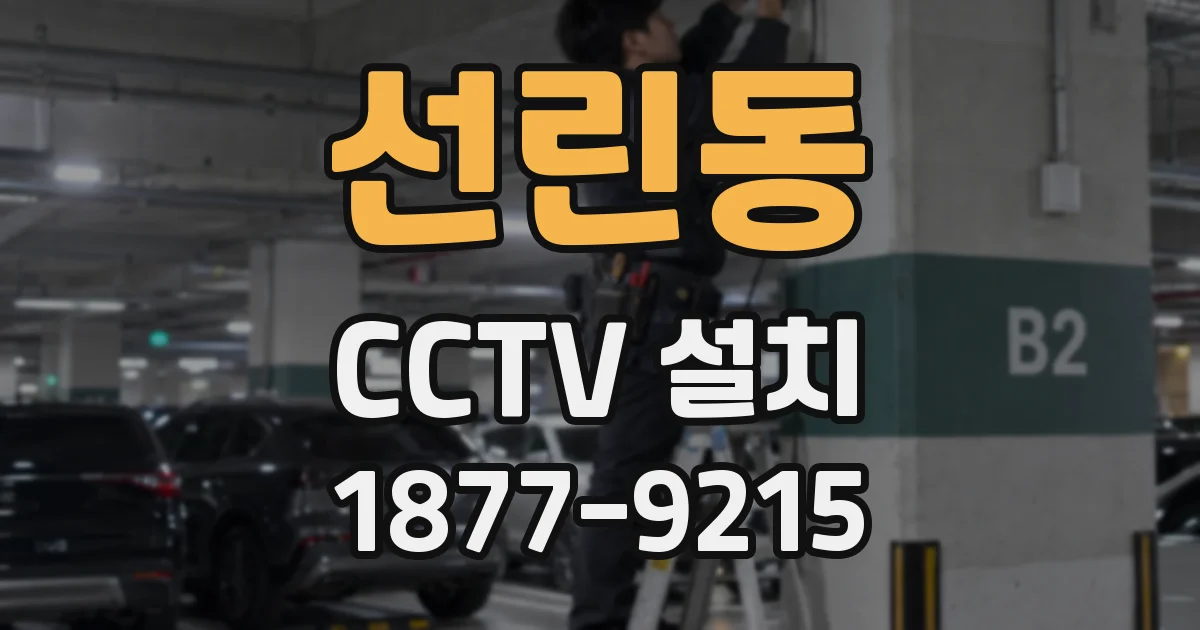 선린동 CCTV 설치