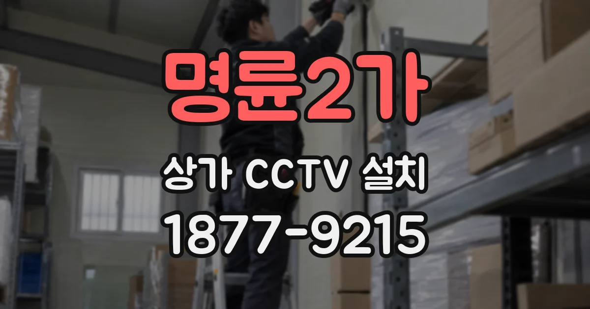 명륜2가 상가 CCTV 설치