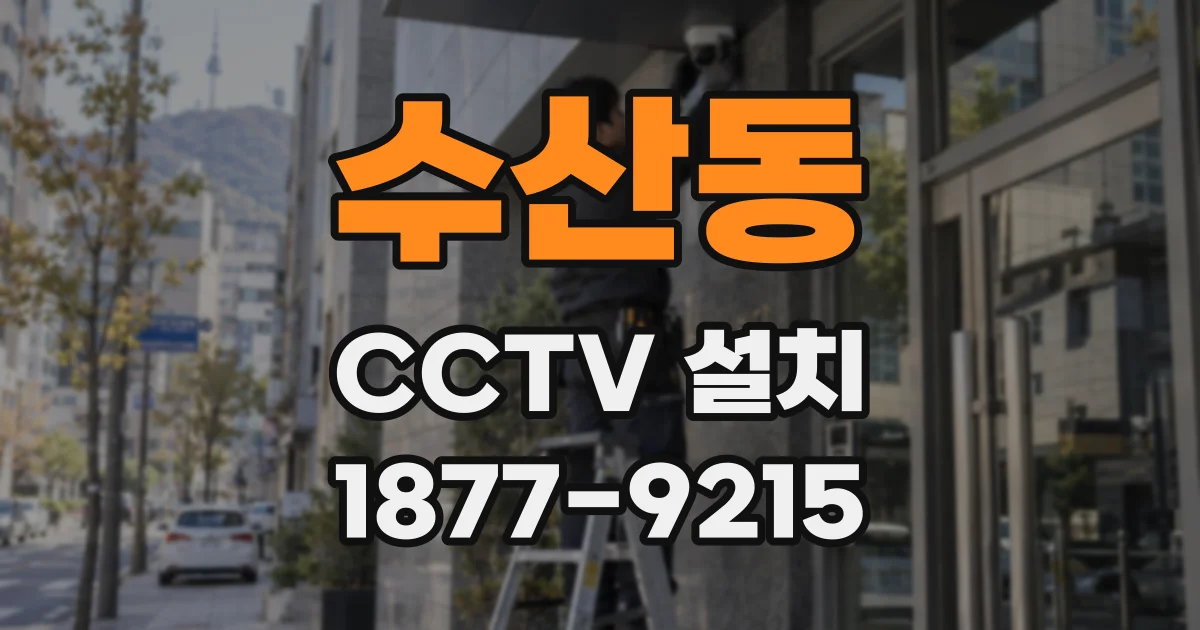 수산동 CCTV 설치