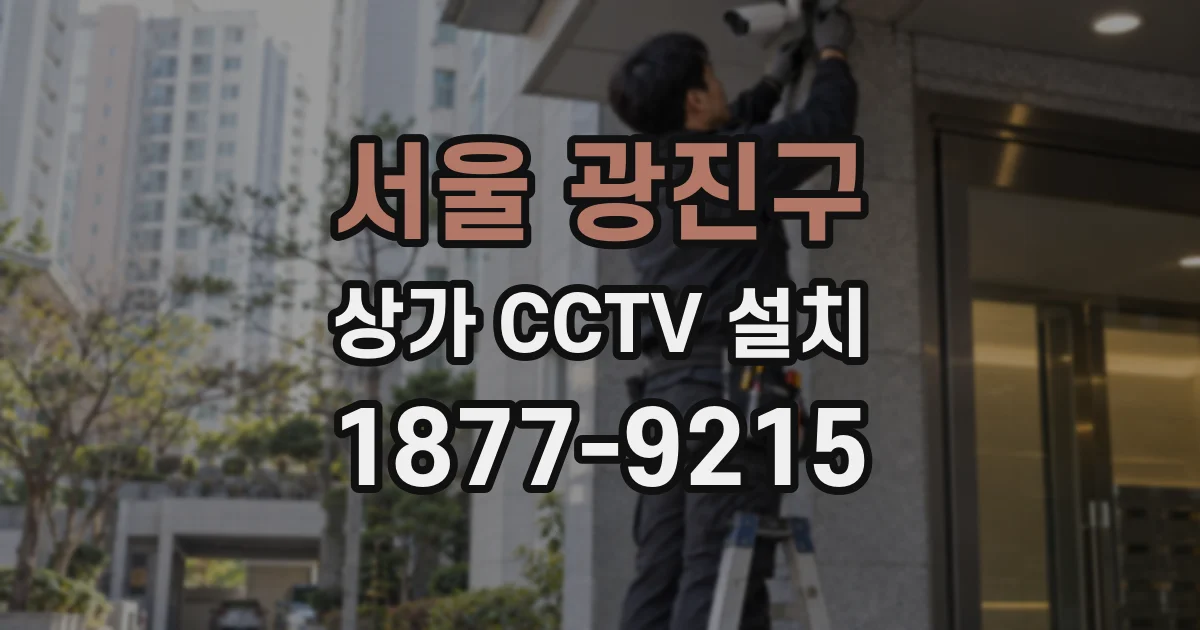 서울 광진구 상가 CCTV 설치