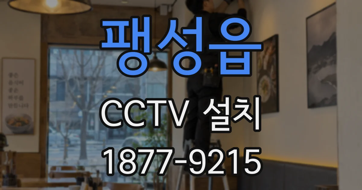 팽성읍 CCTV 설치