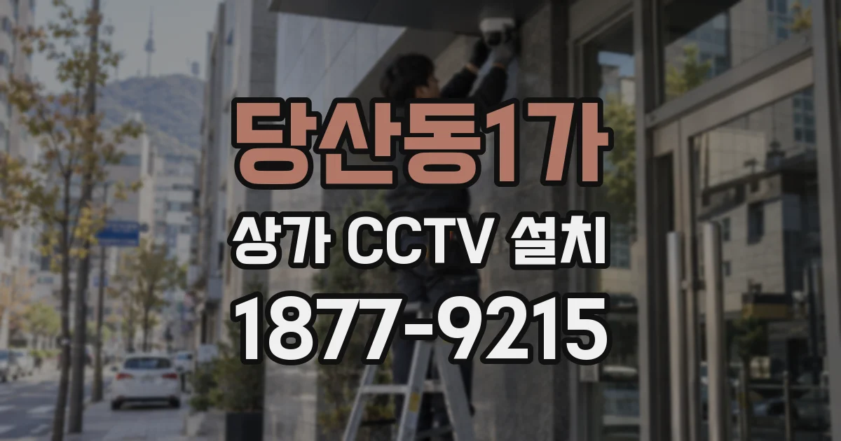 당산동1가 상가 CCTV 설치