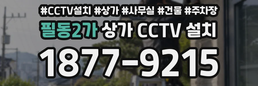 필동2가 상가 CCTV 설치