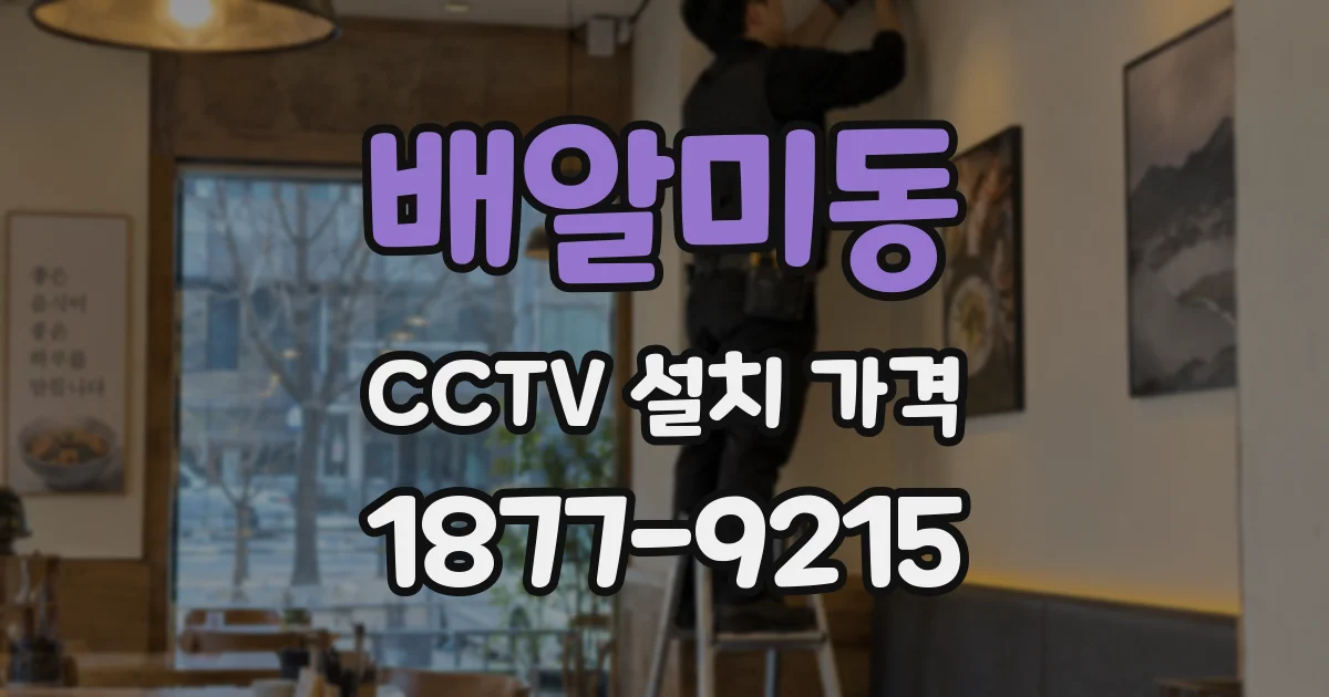 배알미동 CCTV 설치 가격