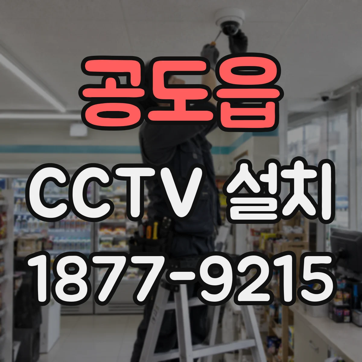 공도읍 CCTV 설치