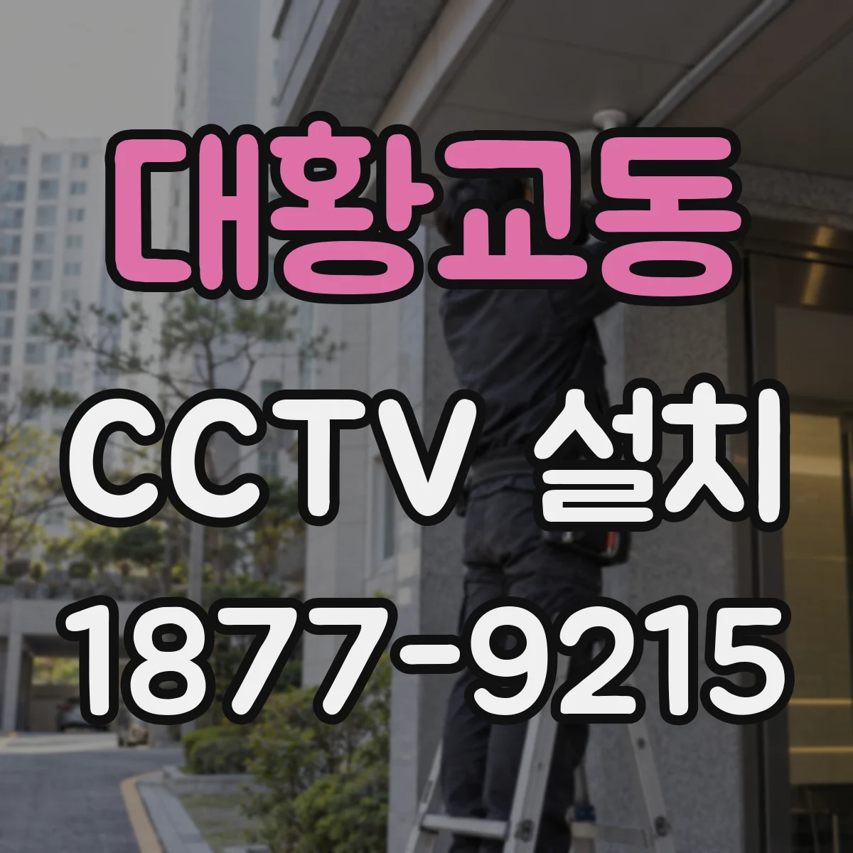 대황교동 CCTV 설치