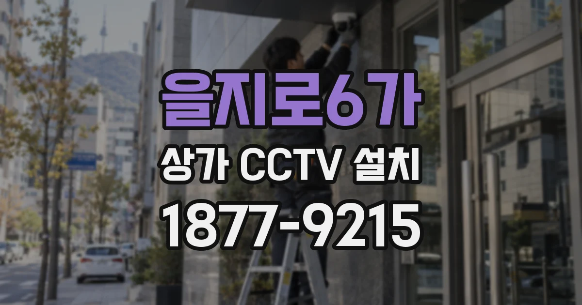 을지로6가 상가 CCTV 설치