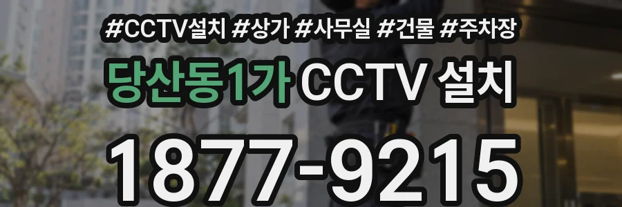 당산동1가 CCTV 설치