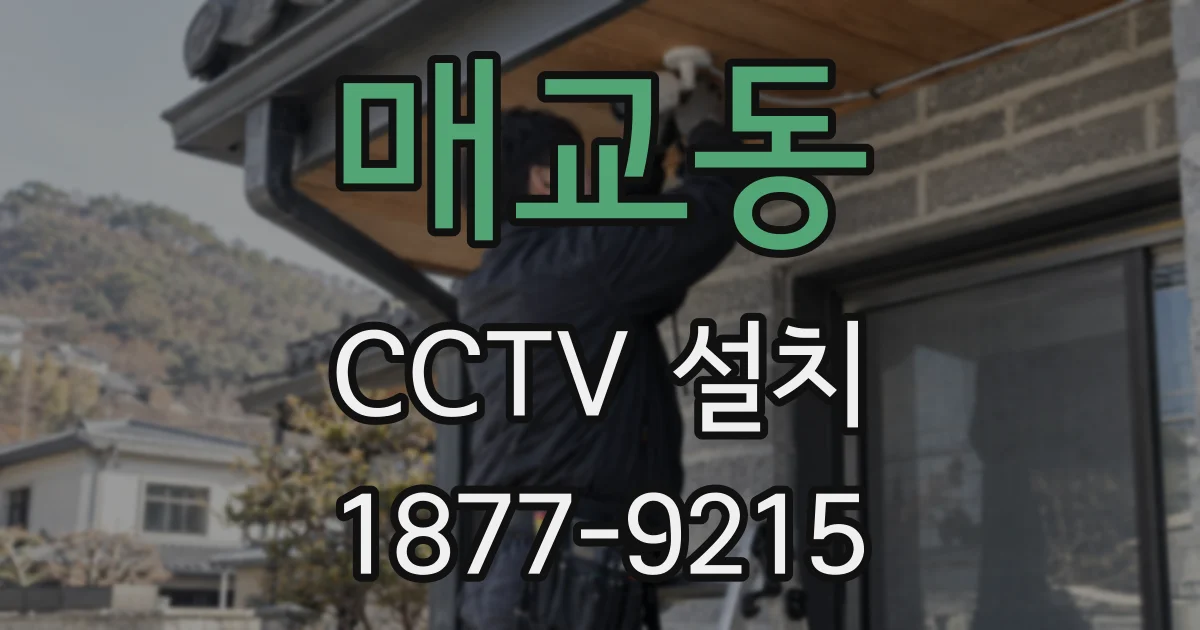 매교동 CCTV 설치