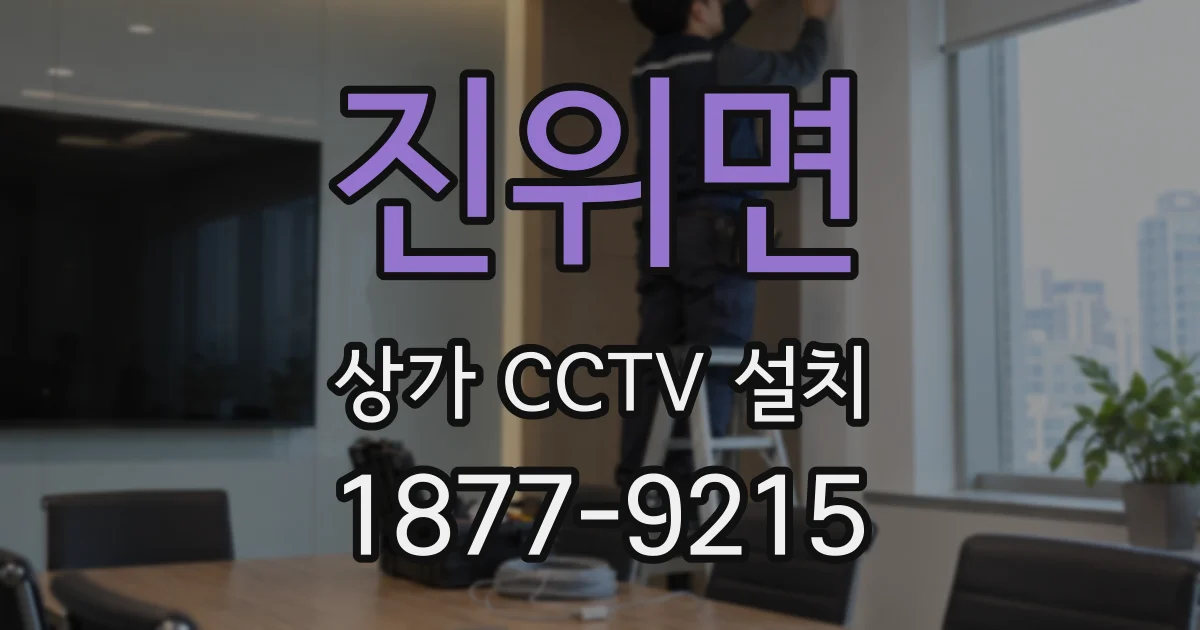 진위면 상가 CCTV 설치