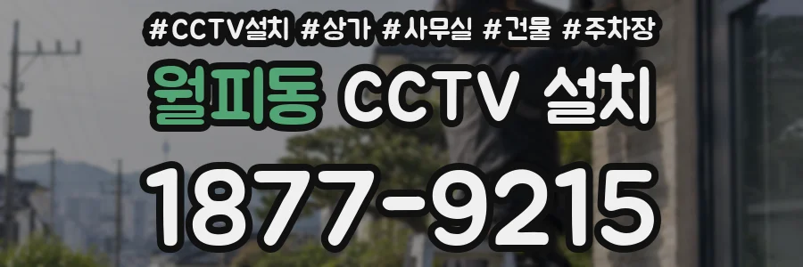 월피동 CCTV 설치