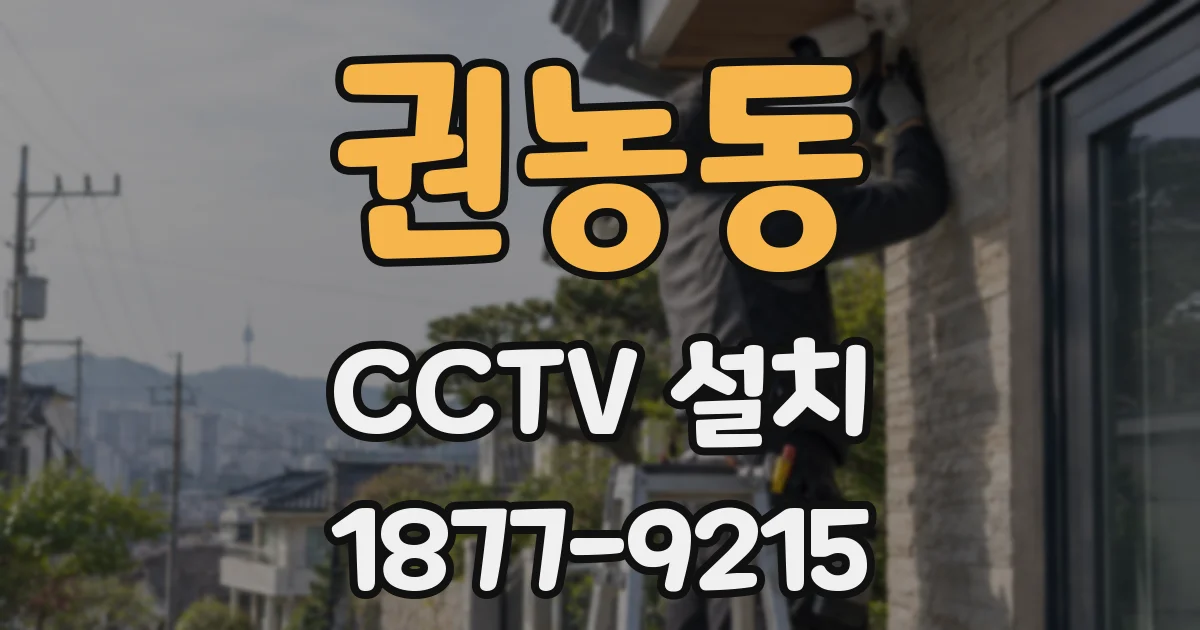 권농동 CCTV 설치