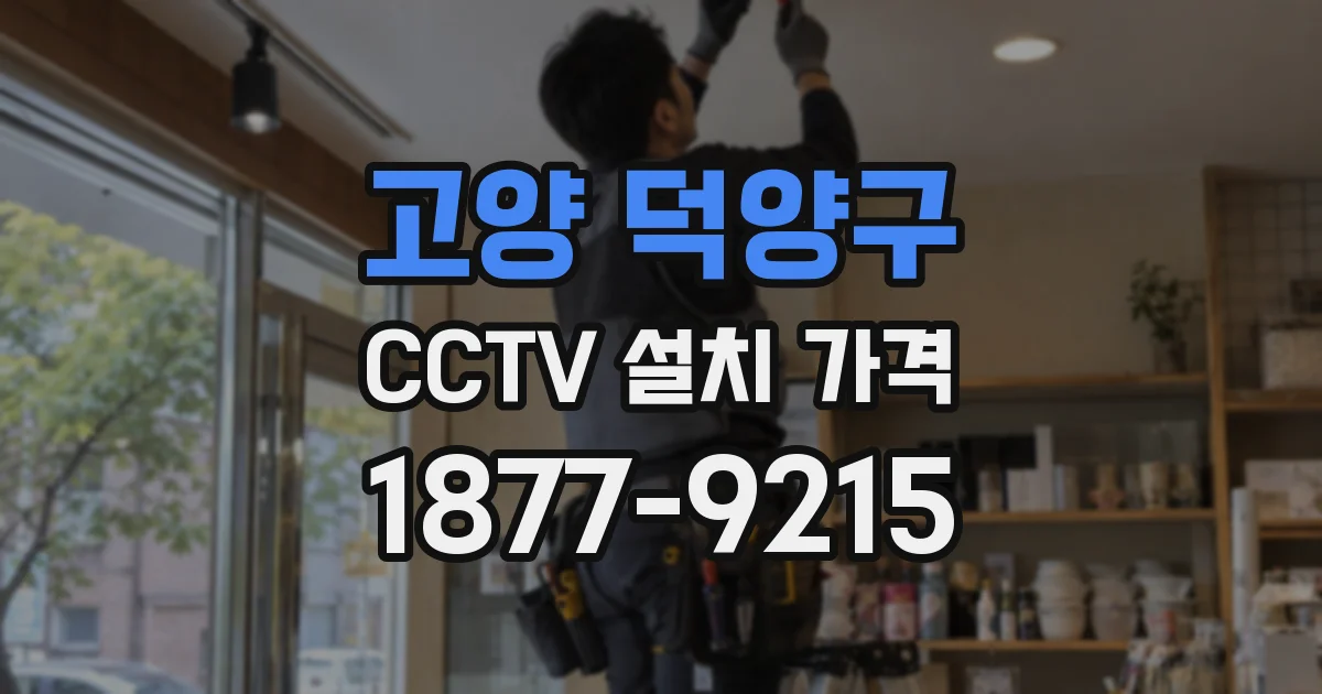 고양 덕양구 CCTV 설치 가격