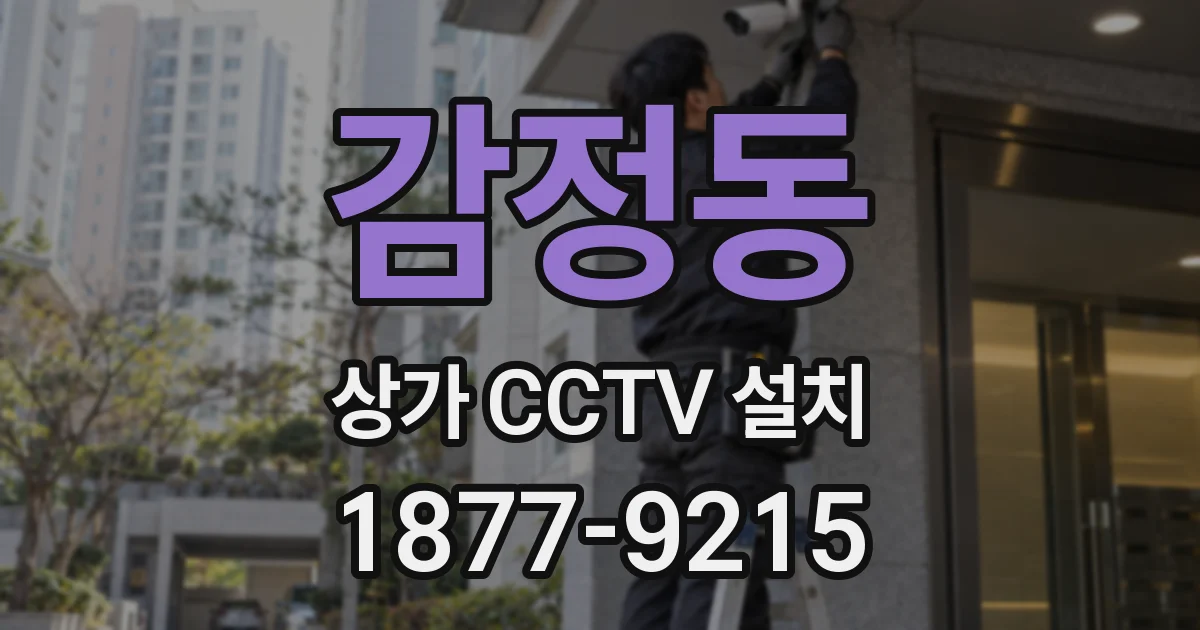감정동 상가 CCTV 설치