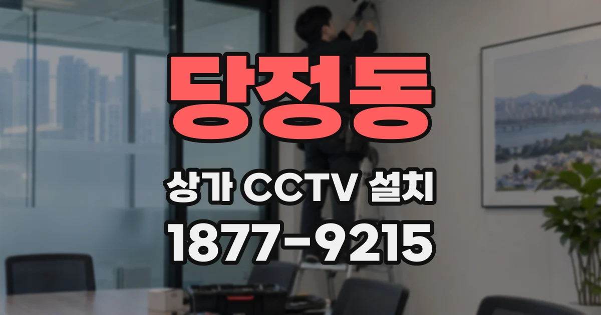 당정동 상가 CCTV 설치