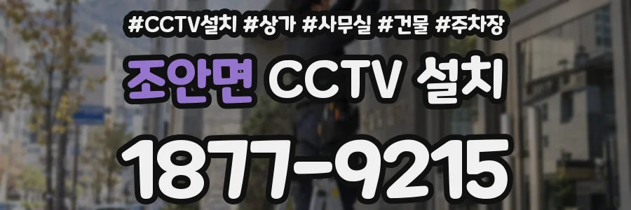 조안면 CCTV 설치
