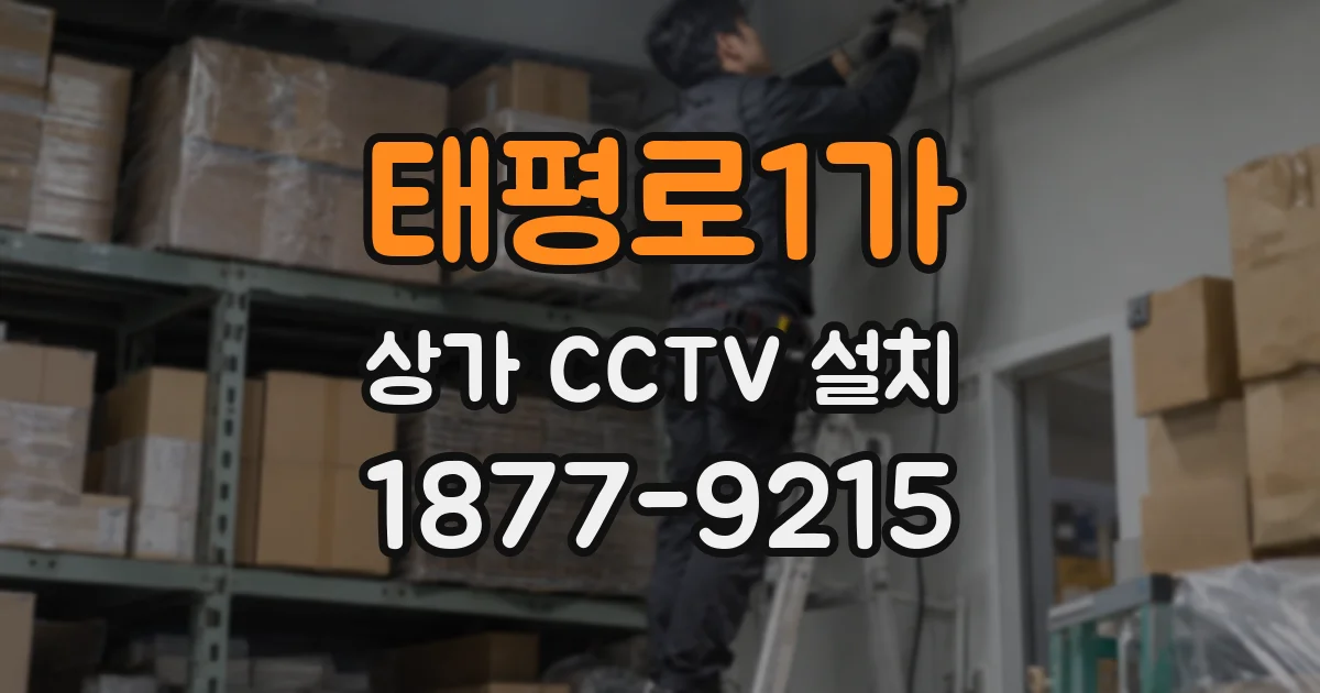 태평로1가 상가 CCTV 설치