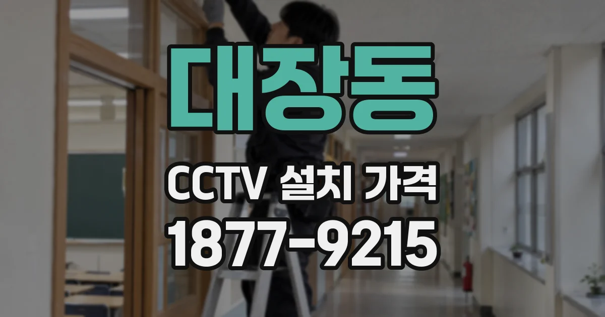 대장동 CCTV 설치 가격