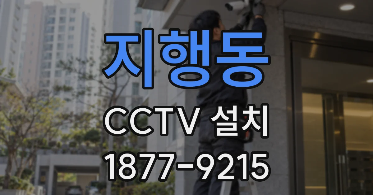 지행동 CCTV 설치