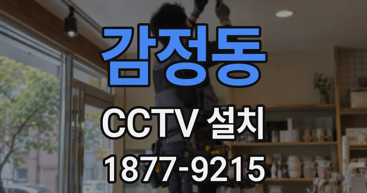감정동 CCTV 설치