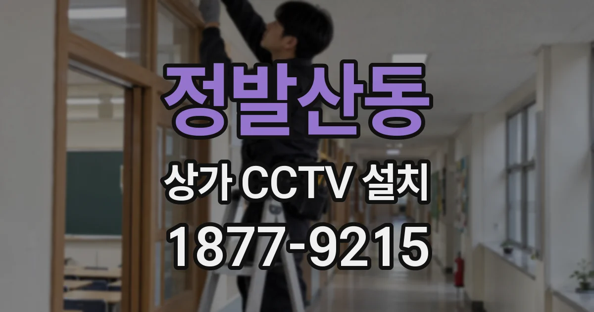 정발산동 상가 CCTV 설치