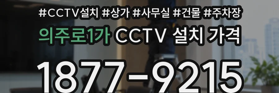 의주로1가 CCTV 설치 가격
