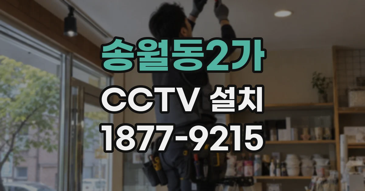 송월동2가 CCTV 설치