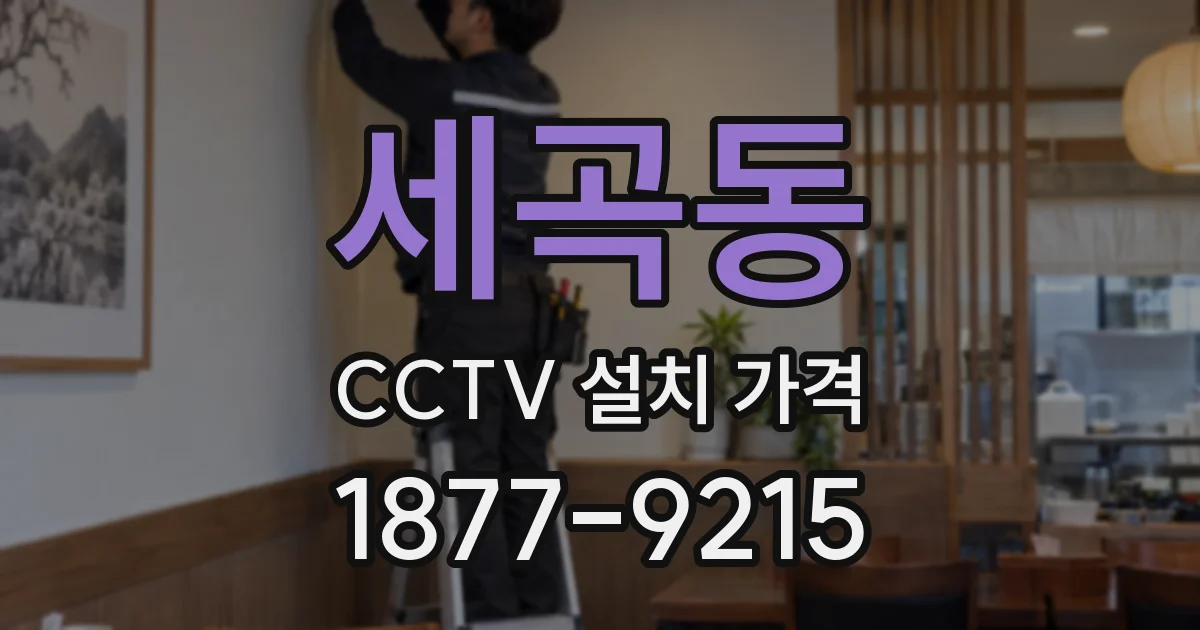 세곡동 CCTV 설치 가격