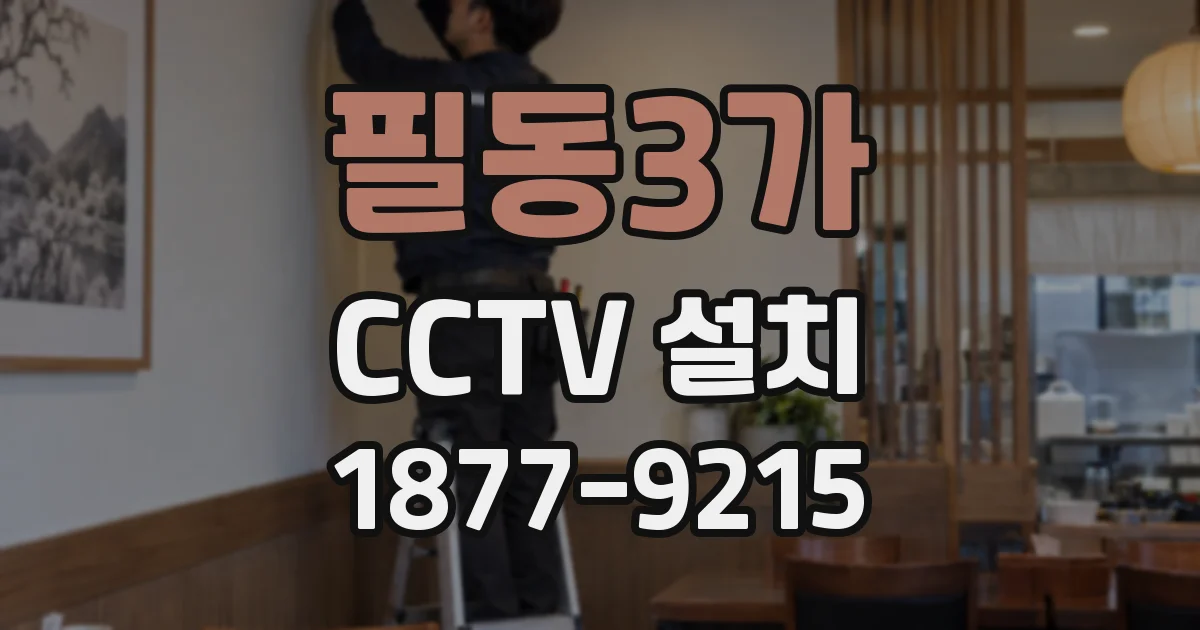 필동3가 CCTV 설치